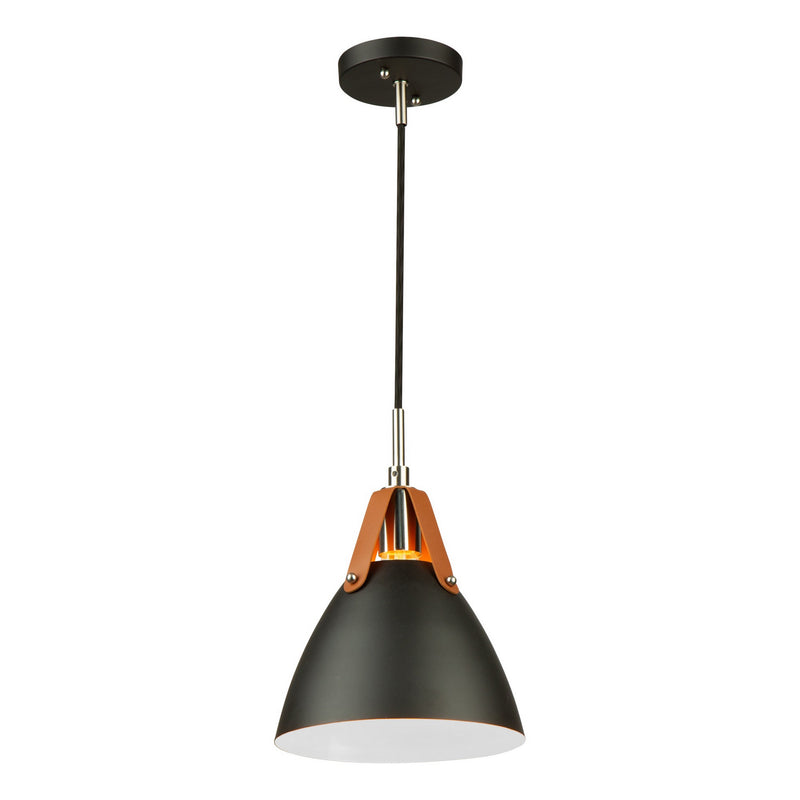 Artcraft SC13321BK One Light Pendant, Black