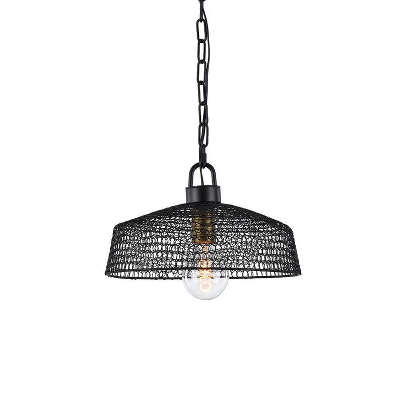 Zeev Lighting P30066-1-DBZ One Light Pendant, Dark Bronze