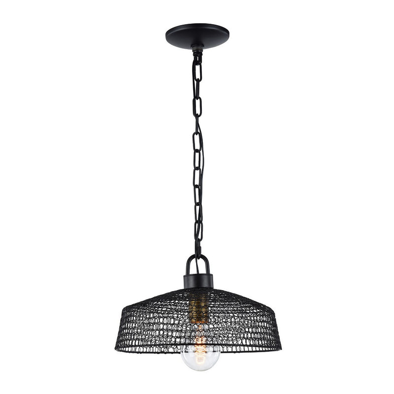 Zeev Lighting P30066-1-DBZ One Light Pendant, Dark Bronze