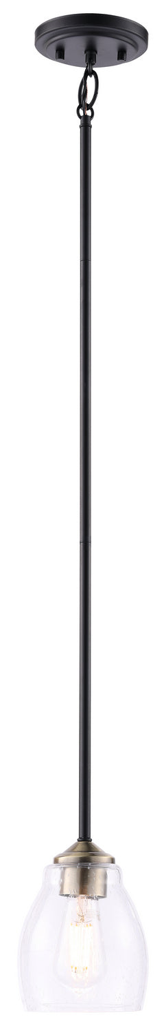 Minka-Lavery 2430-878 One Light Pendant, Coal And Stained Brass