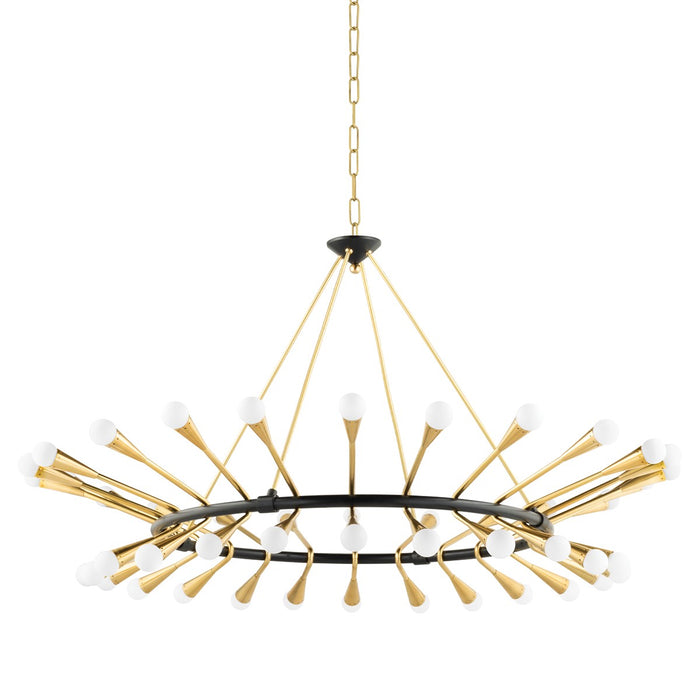 Corbett Lighting 401-48-VPB/BBR 48 Light Chandelier, Vintage Polished Brass/Black Brass