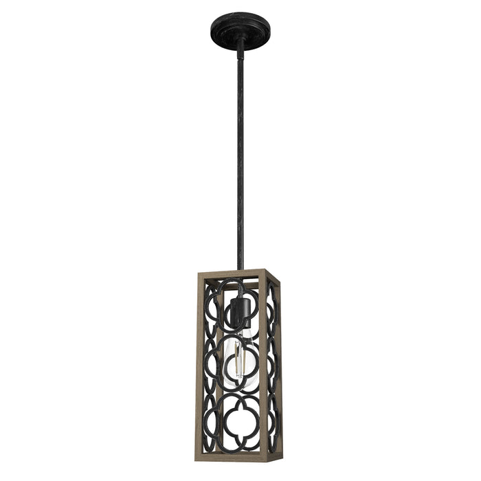 Hunter 19390 One Light Mini Pendant, French Oak