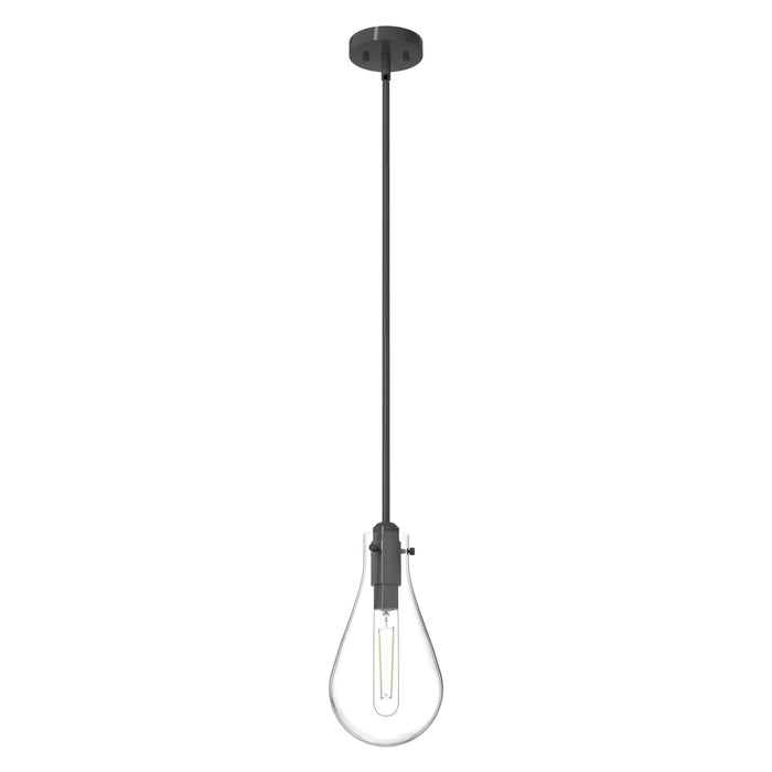 Hunter 19561 One Light Pendant, Noble Bronze