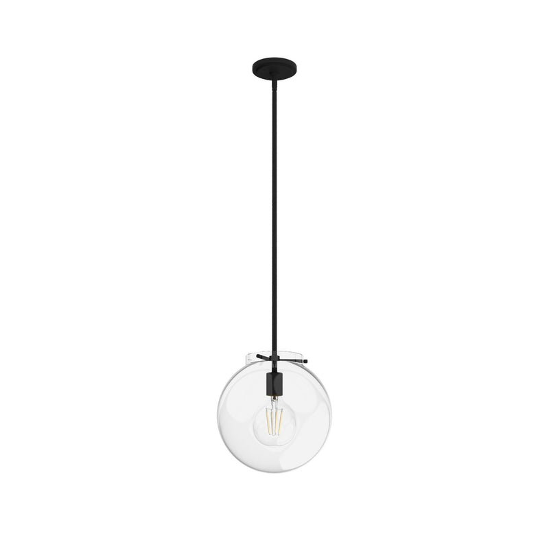 Hunter 19660 One Light Pendant, Natural Black Iron