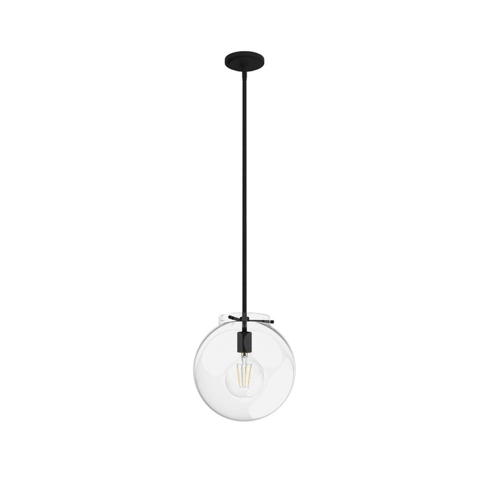 Hunter 19660 One Light Pendant, Natural Black Iron