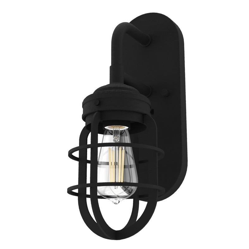 Hunter 19668 One Light Wall Sconce, Natural Black Iron