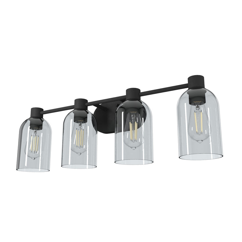 Hunter 19711 Four Light Bathroom Vanity, Natural Black Iron