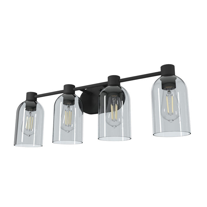 Hunter 19711 Four Light Bathroom Vanity, Natural Black Iron