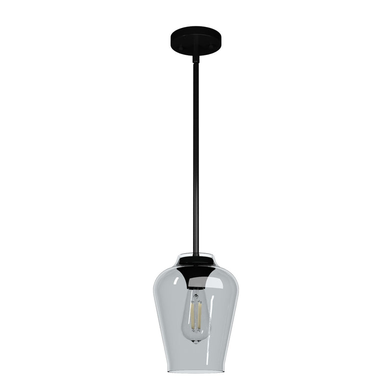 Hunter 19724 One Light Pendant, Matte Black