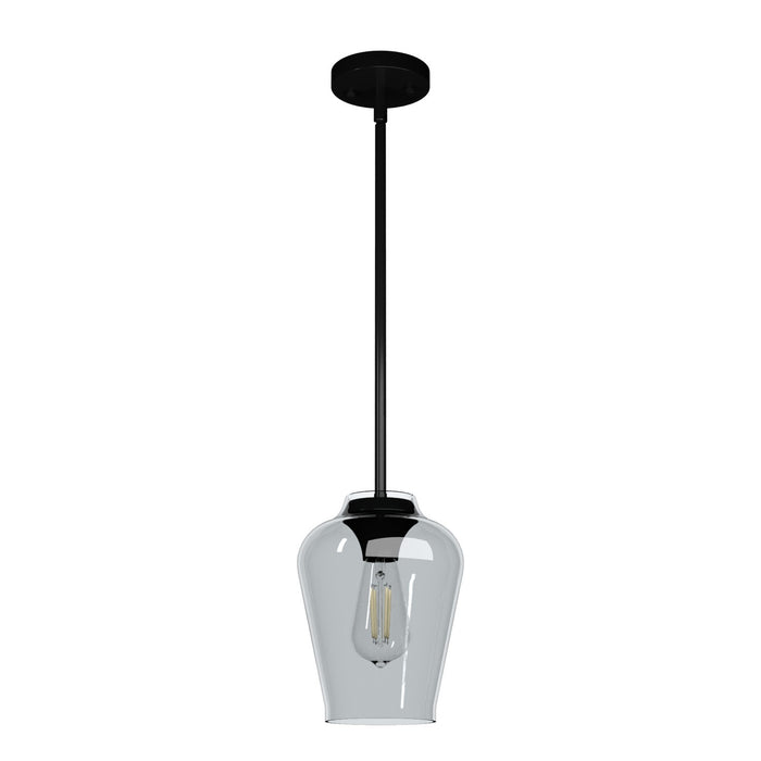 Hunter 19724 One Light Pendant, Matte Black
