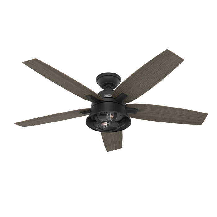Hunter 51579 52" Ceiling Fan, Matte Black
