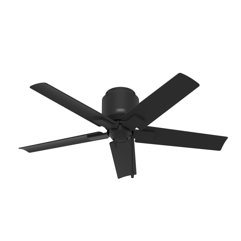 Hunter 51581 44" Ceiling Fan, Matte Black