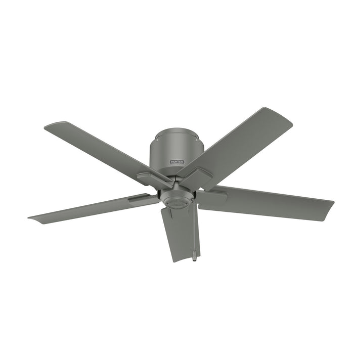 Hunter 51582 44" Ceiling Fan, Matte Silver