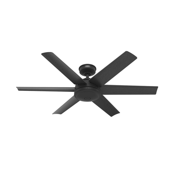 Hunter 51731 52" Ceiling Fan, Matte Black