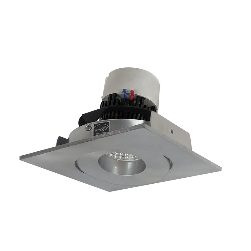 Nora Lighting NPR-4SG30XNN Adjustable Trim, Natural Metal