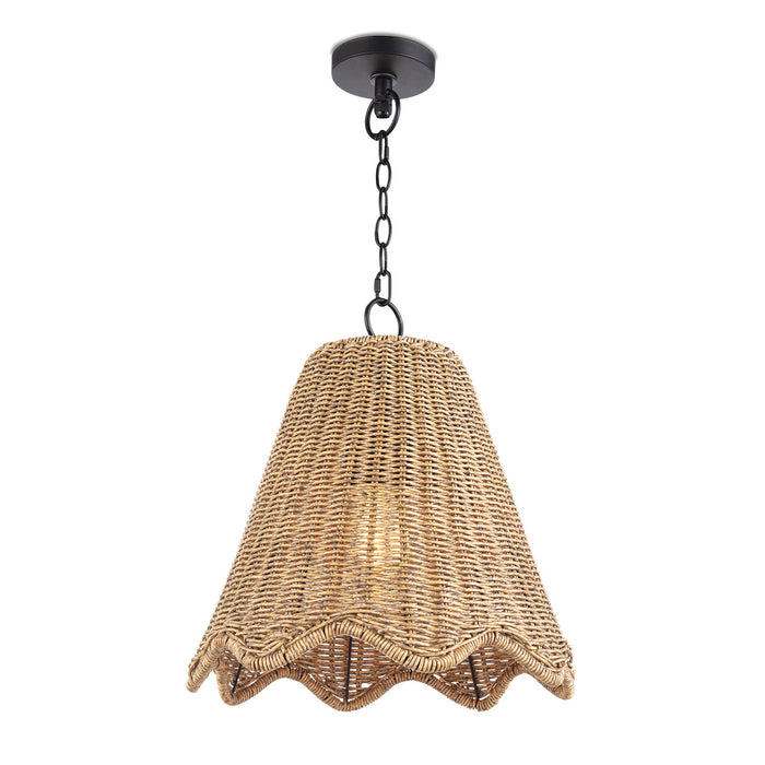 Regina Andrew 17-1029NAT One Light Pendant, Natural