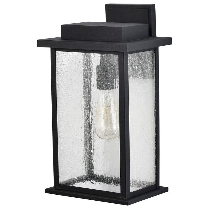 Nuvo Lighting 60-7376 One Light Wall Lantern, Matte Black