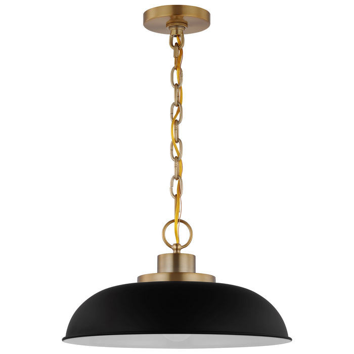 Nuvo Lighting 60-7481 One Light Pendant, Matte Black / Burnished Brass