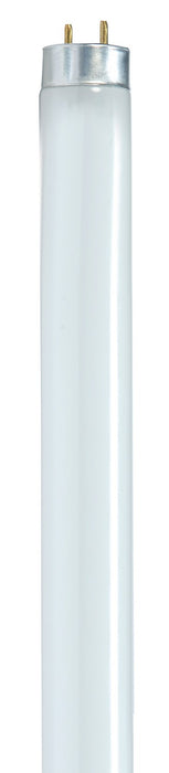Satco S8442-TF Light Bulb, Gloss White