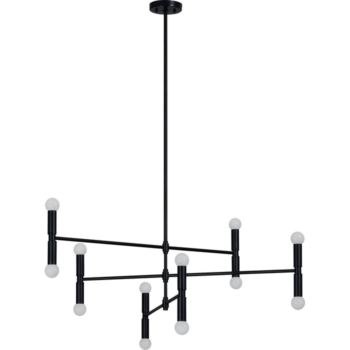 Renwil LPC4405 12 Light Ceiling Fixture, Matte Black