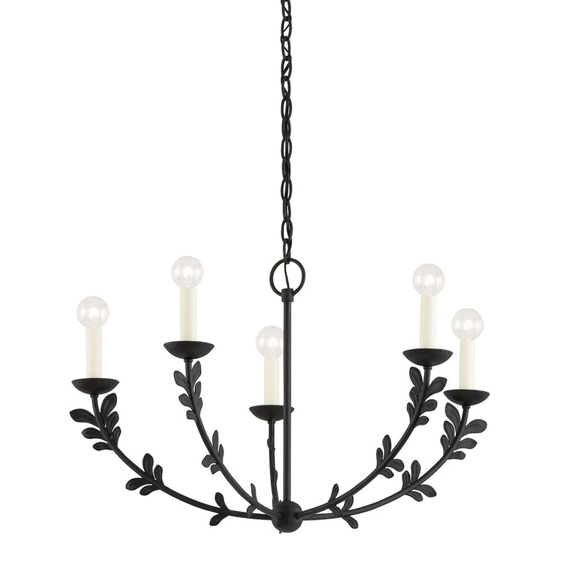 Troy Lighting F4428-BI Five Light Chandelier, Black Iron