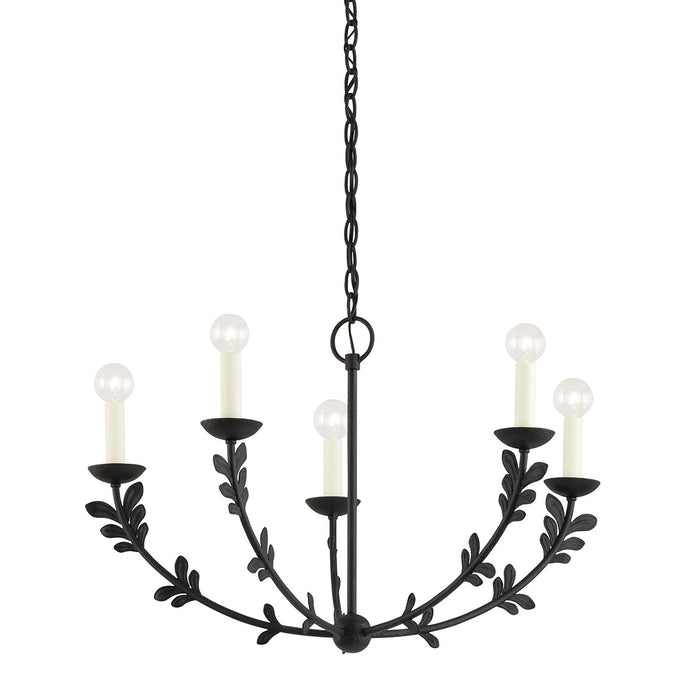 Troy Lighting F4428-BI Five Light Chandelier, Black Iron