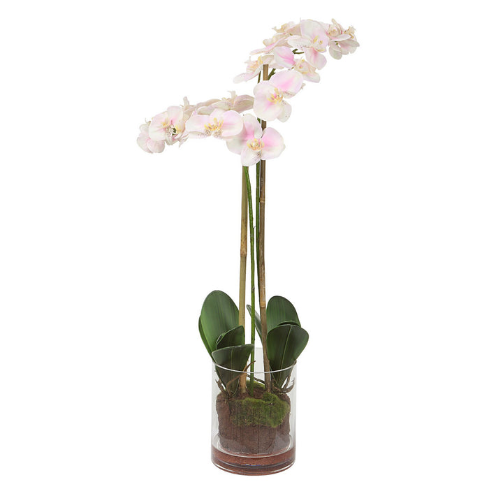 Uttermost 60196 Orchid, Light Pink And White