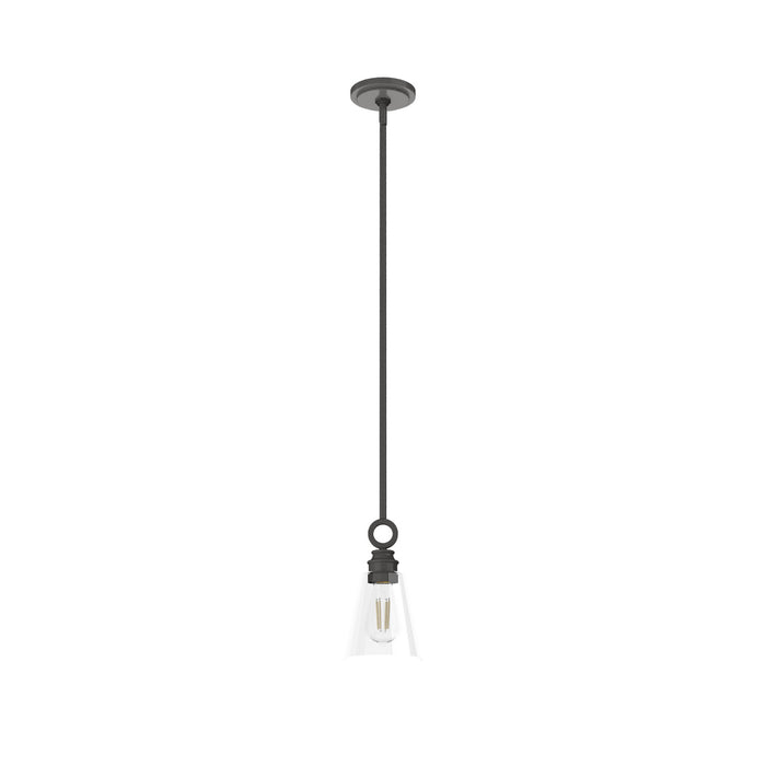 Hunter 19437 One Light Pendant, Noble Bronze