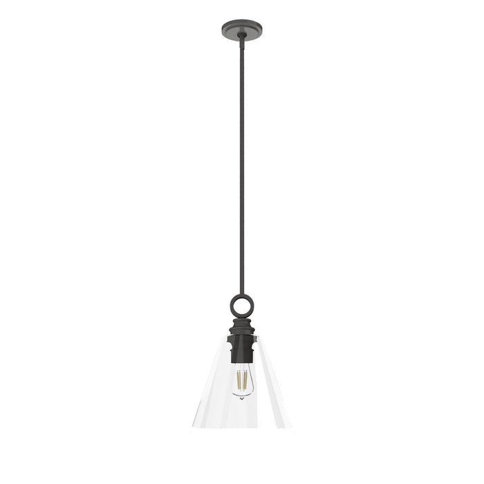 Hunter 19439 One Light Pendant, Noble Bronze