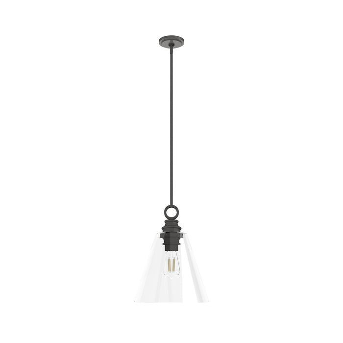 Hunter 19441 One Light Pendant, Noble Bronze