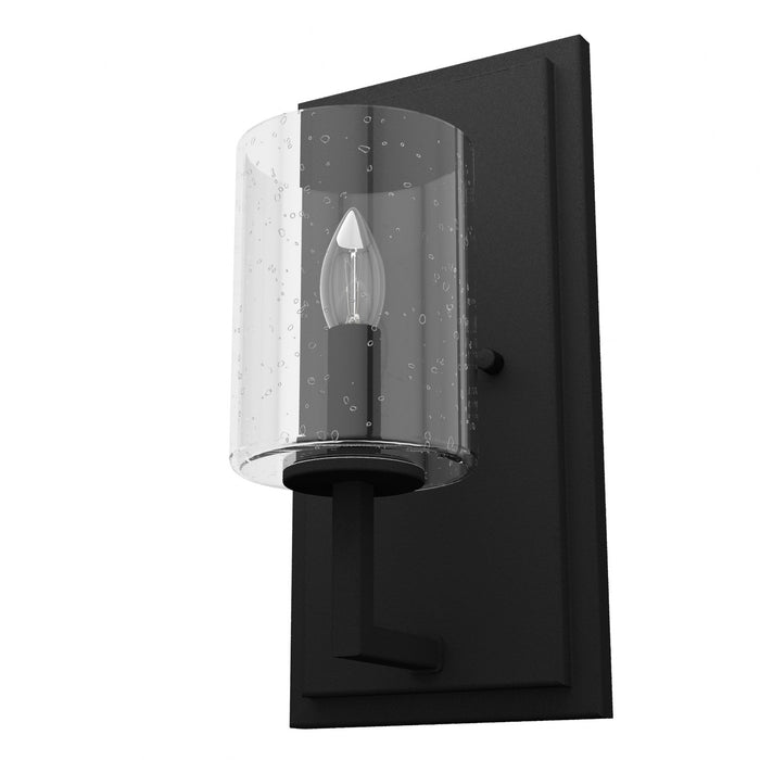 Hunter 19544 One Light Wall Sconce, Natural Black Iron