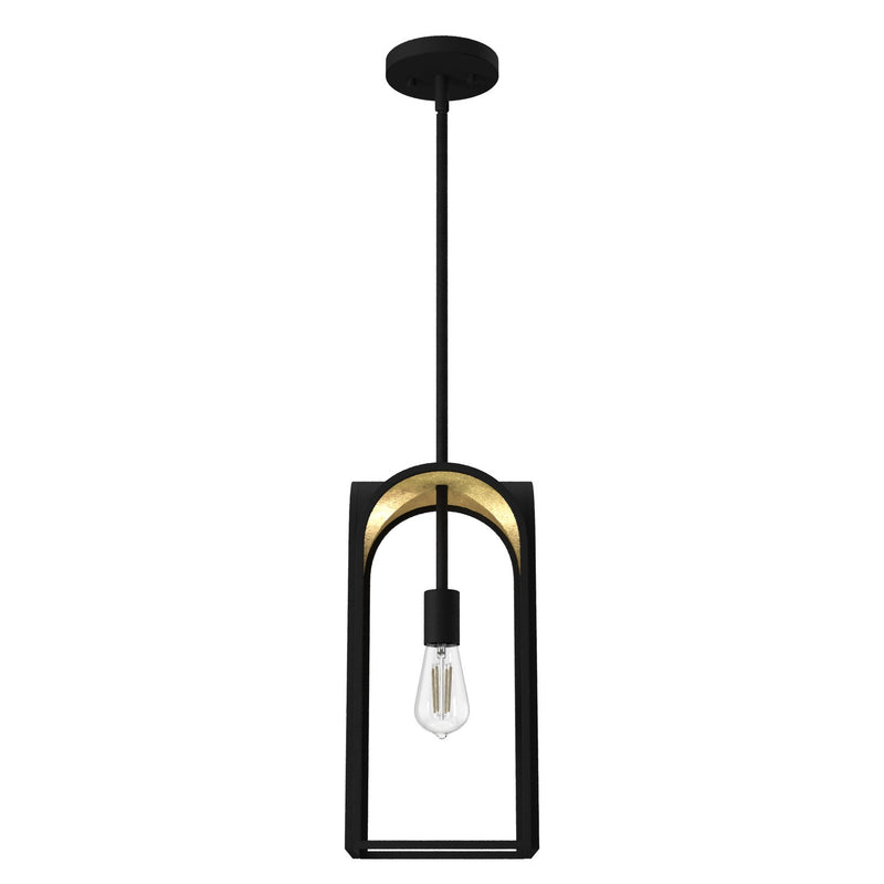 Hunter 19737 One Light Pendant, Natural Black Iron
