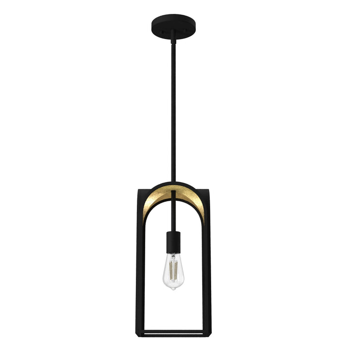 Hunter 19737 One Light Pendant, Natural Black Iron