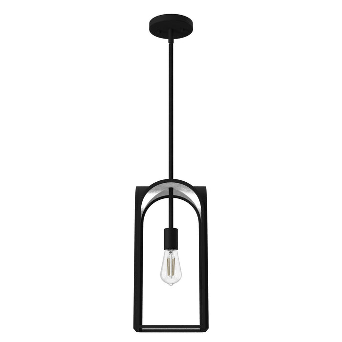 Hunter 19738 One Light Pendant, Natural Black Iron