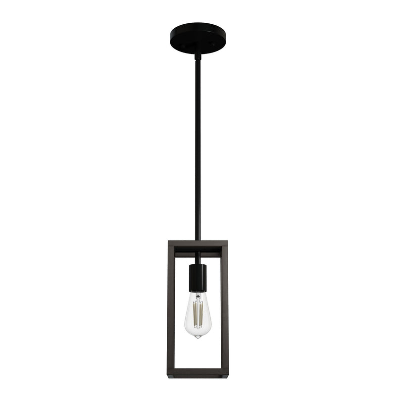 Hunter 19769 One Light Pendant, Matte Black