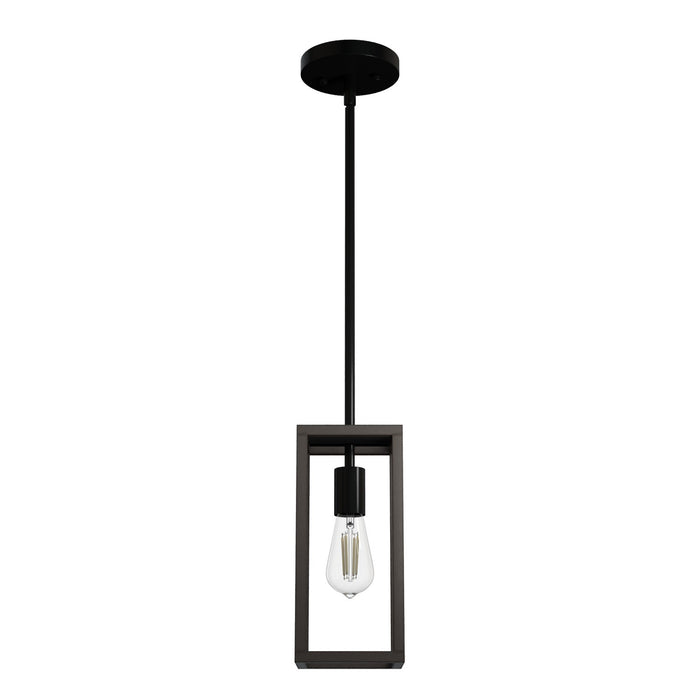 Hunter 19769 One Light Pendant, Matte Black