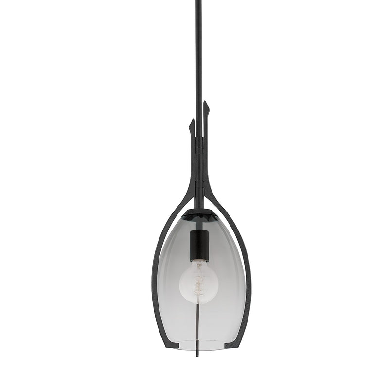 Troy Lighting F8309-FOR One Light Pendant, Forged Iron