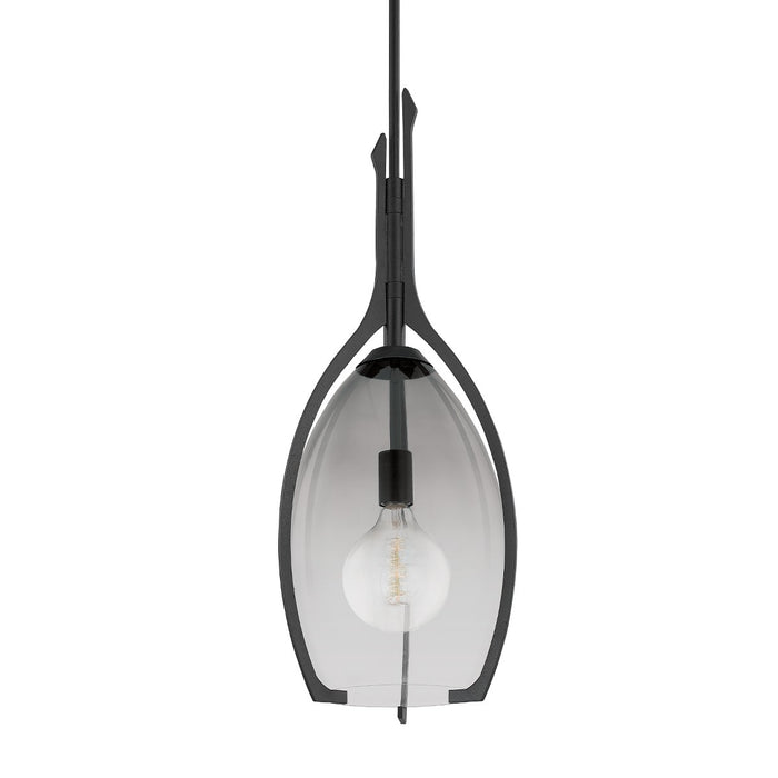 Troy Lighting F8313-FOR One Light Pendant, Forged Iron