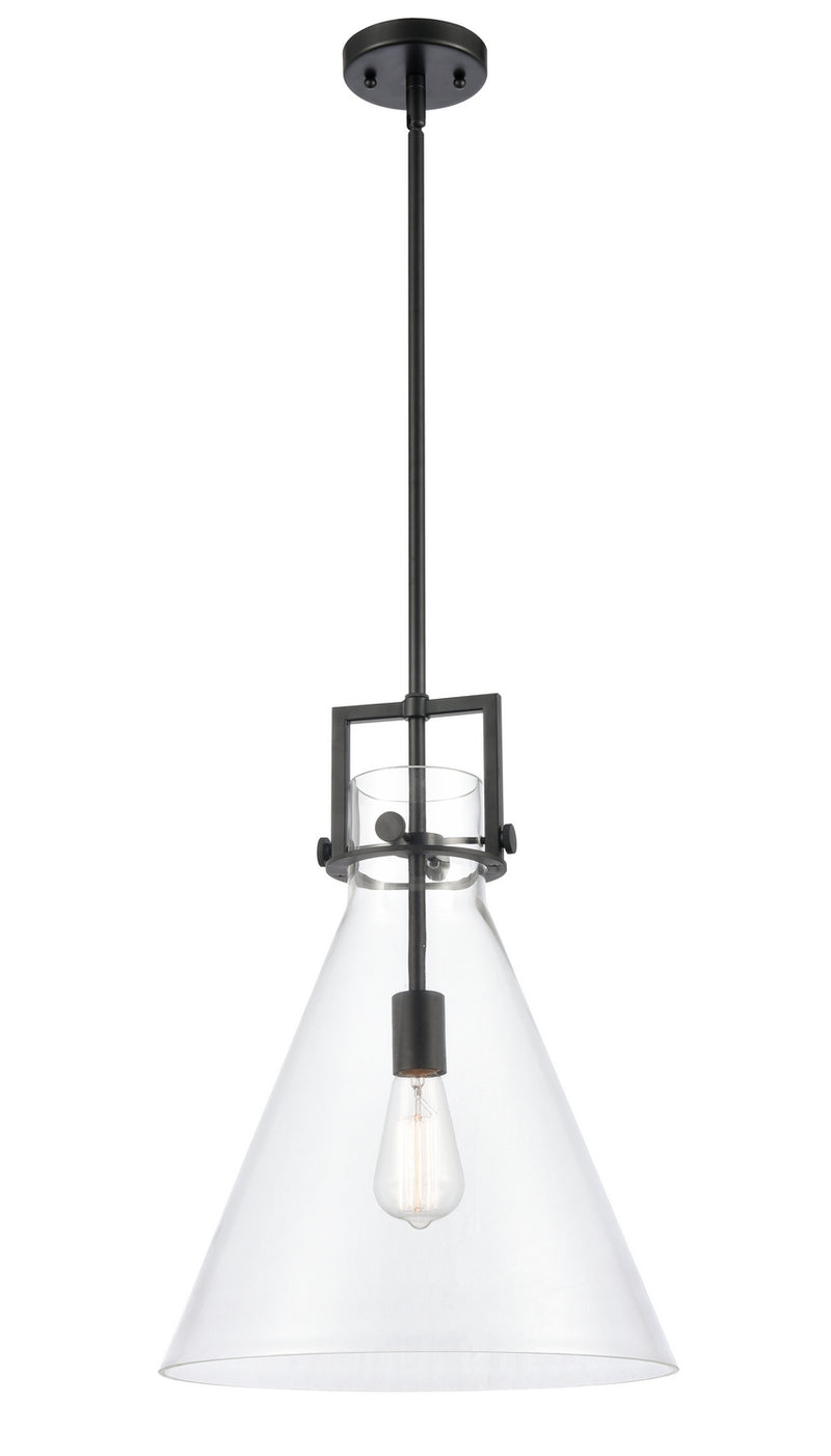 Innovations 411-1S-BK-14CL LED Pendant, Matte Black