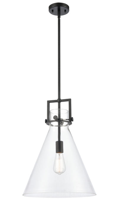 Innovations 411-1S-BK-14CL-LED LED Pendant, Matte Black