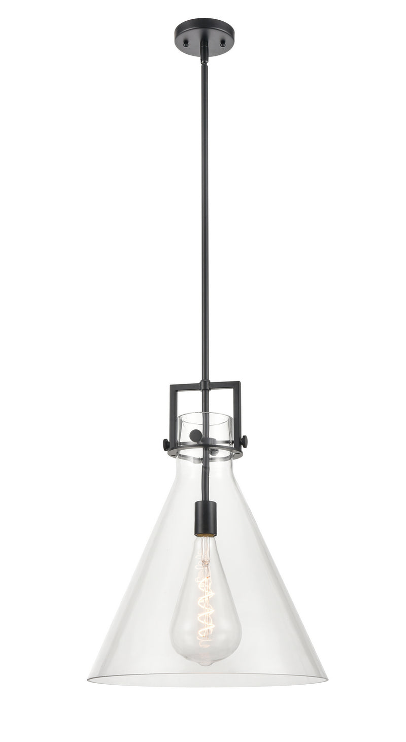 Innovations 411-1S-BK-16CL LED Pendant, Matte Black
