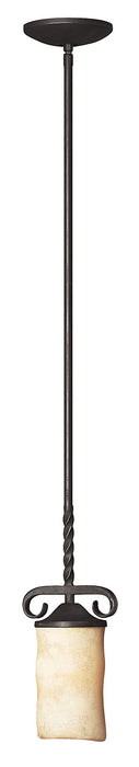 Hinkley 4017OL LED Pendant, Olde Black
