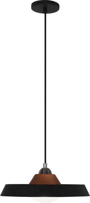 Robert Abbey B515 LED Pendant, BLACK POWDERCOATED IRON w/ASH WOOD