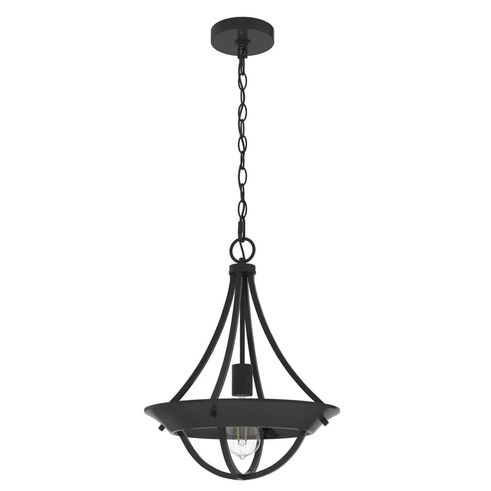 Hunter 19418 One Light Pendant, Noble Bronze