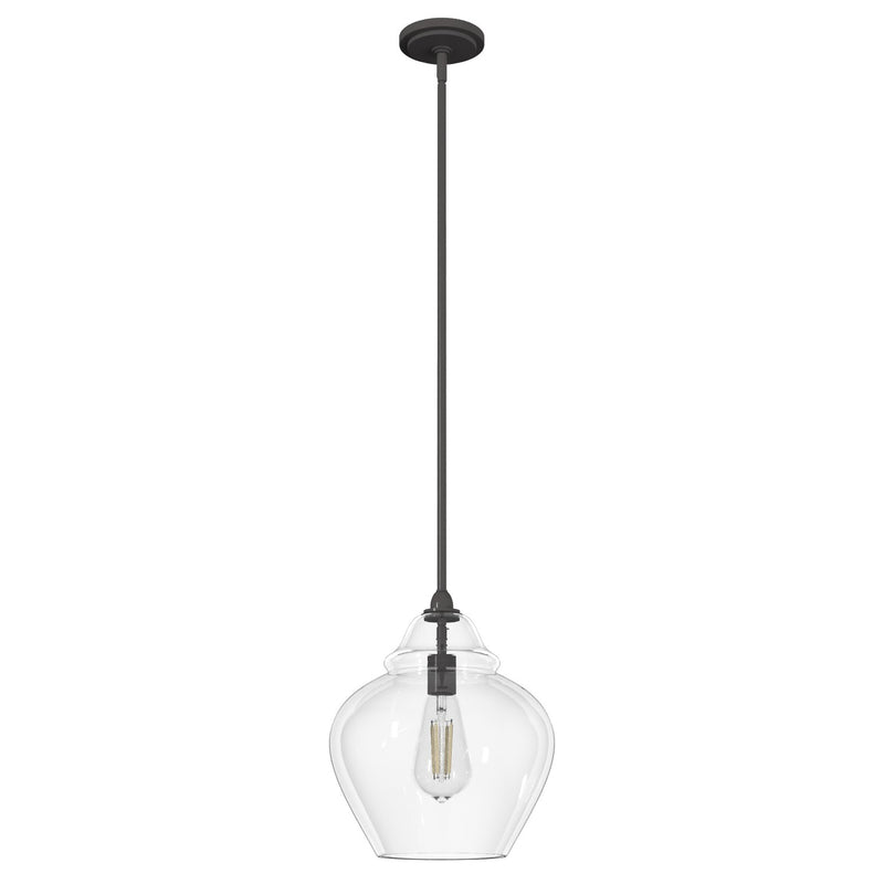 Hunter 19646 One Light Pendant, Noble Bronze