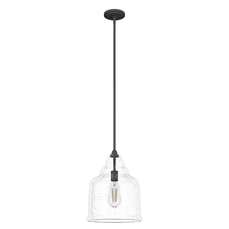 Hunter 19655 One Light Pendant, Noble Bronze