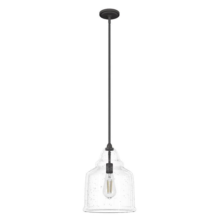 Hunter 19655 One Light Pendant, Noble Bronze