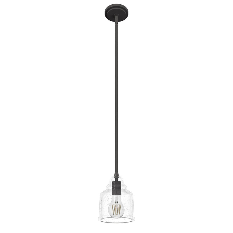 Hunter 19657 One Light Pendant, Noble Bronze