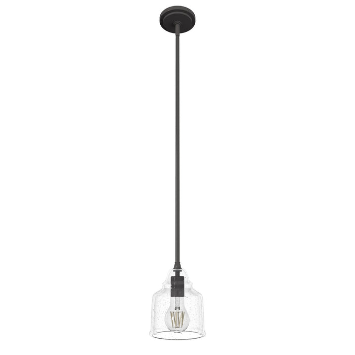 Hunter 19657 One Light Pendant, Noble Bronze