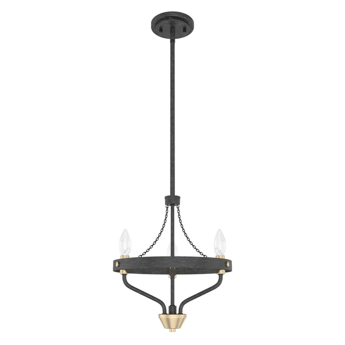 Hunter 19803 Three Light Chandelier, Rustic Iron